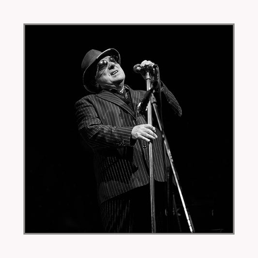 Van Morrison at Forest Hills Stadium 9/13/2018